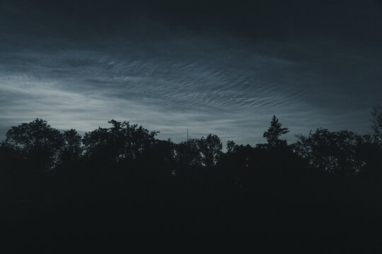 View of noctilucent clouds glowing in the night sky above a dark treeline on Vormsi, Laane County, Estonia.