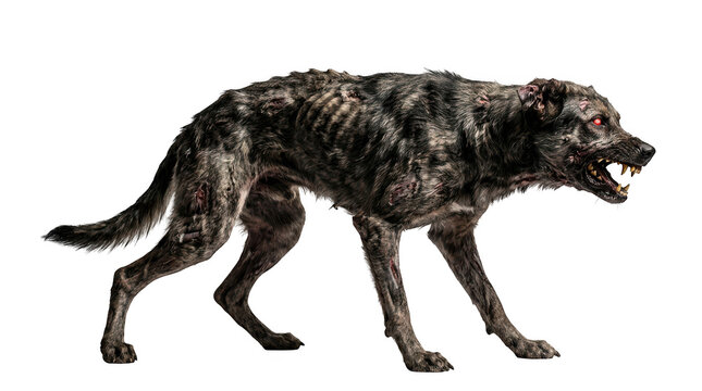Scary zombie dog with glowing red eyes isolated on transparent background
