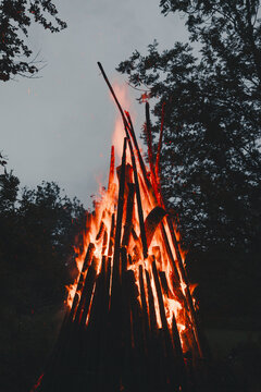 View of a traditional Midsummer bonfire with tall wooden logs burning brightly against a dark forest background, Laane County, Estonia.