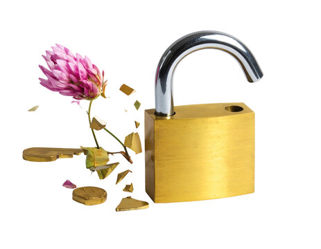 Open brass padlock with a disintegrating pink clover flower and key fragments