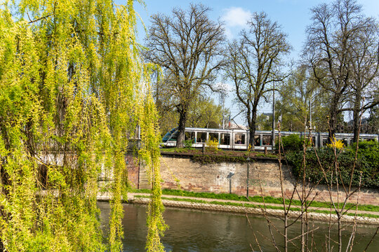 Le r&eacute;veil du printemps au bord de l&rsquo;eau &agrave; Strasbourg