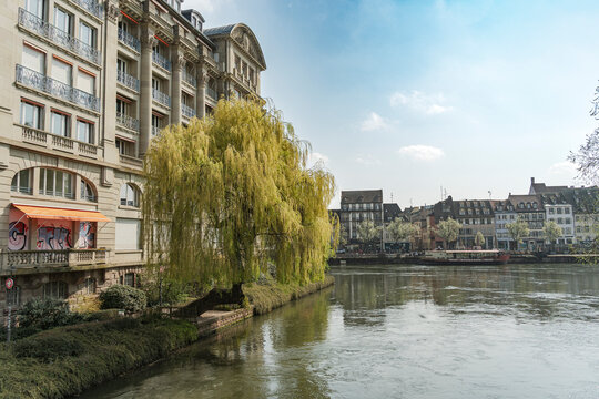 Le r&eacute;veil du printemps au bord de l&rsquo;eau &agrave; Strasbourg