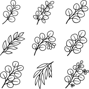 Nine black outline botanical sprigs with rounded and pointed leaves isolated on white