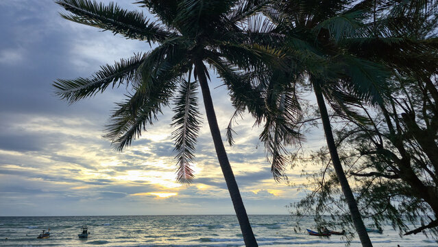 View of palm trees silhouetted against a dramatic sunset sky over the sea with small traditional boats floating near the shore in Ko Tao, Surat Thani, Thailand.