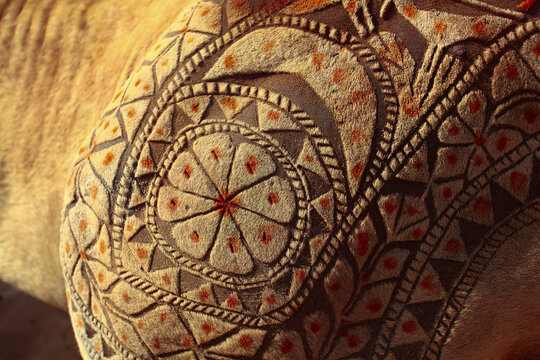 View of intricate geometric tattoo patterns shaved into the fur of a camel at the Chanan Pir festival in Yazman, Punjab, Pakistan.