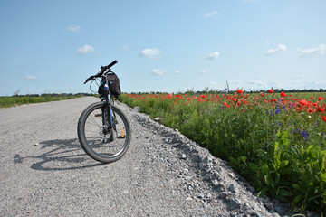 Fototapeta premium bike stands on the road in the field. A mountain bike stands on a field path with red poppies. Mountain bike. wheat field, sunny day. ride a bike. active outdoor recreation. trip to the countryside