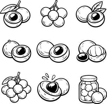 Nine hand-drawn longan fruit illustrations showing whole, peeled, halved, clustered and preserved forms