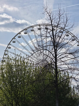 View of a large Ferris wheel rising behind lush green trees and a bare tree against a blue sky in Hanover, Lower Saxony, Germany.