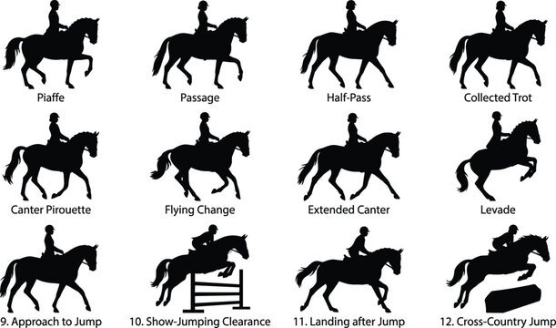Horse riding gaits and jumping movements silhouette set showcasing dressage and equestrian sport positions