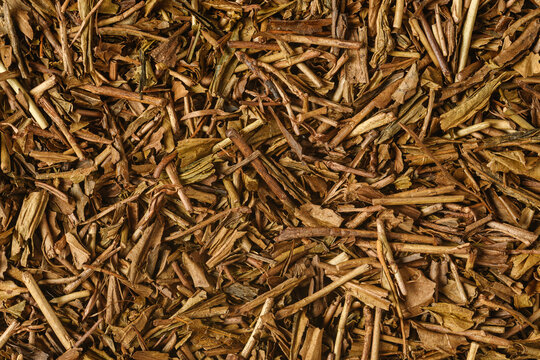 Roasted hojicha tea leaves and stems create dense rustic texture for natural beverage branding, packaging and culinary backgrounds.