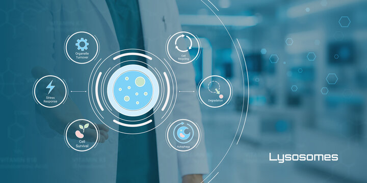 Advanced biotechnology visualization of lysosomes and cellular processes in a modern medical research environment