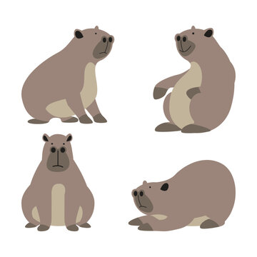 Capybara mascot design. Cute capybara vector pack illustration.