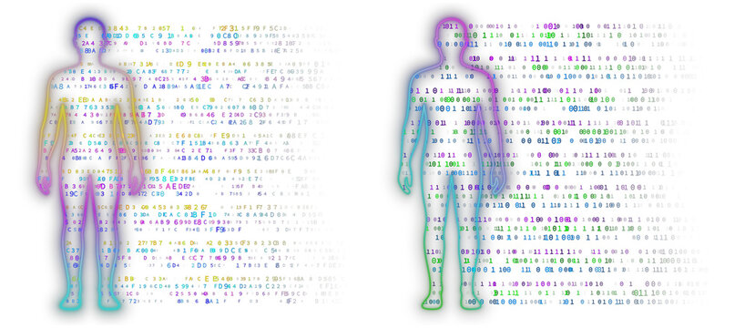 Set of two human body silhouettes filled with abstract colorful hexadecimal and binary code sequences with a fading effect. Illustration for AI, cybersecurity, digital identity, and technology themes