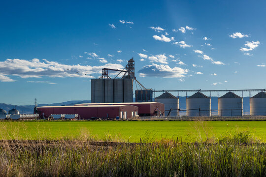 Grain elevator and silos in the San Joaquin Valley, California, USA