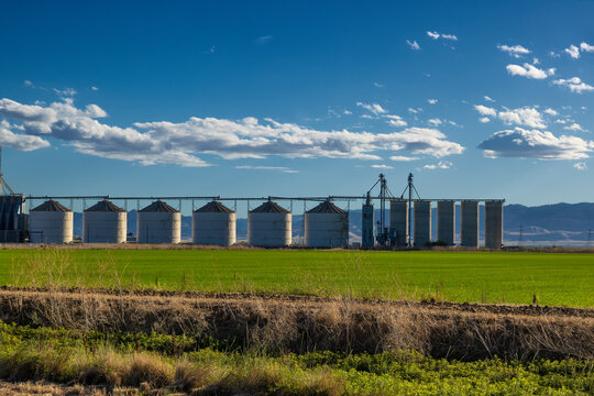 Agricultural land in southern California's San Joaquin Valley, USA