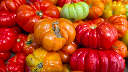 Close-up of a slightly spoiled orange heirloom tomato, showing natural blemishes, ripening decline, organic produce texture, food freshness loss and imperfect harvest concept. © Suardi Tan