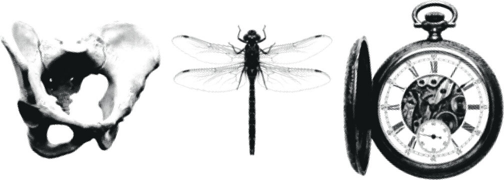Abstract halfone composition with pelvis dragonfly and pocket watch on white background