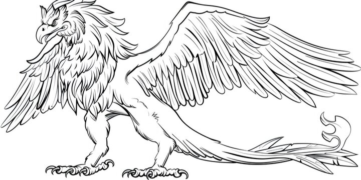 Griffin mythical creature line art fantasy isolated