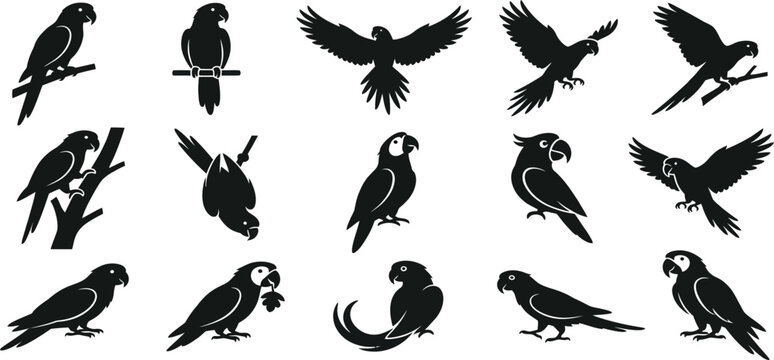 Parrot, macaw, cockatoo, tropical, exotic, bird, silhouette, set, icon, vector, collection, wildlife, animal, nature, flying, perching, branch, avian, fauna, jungle