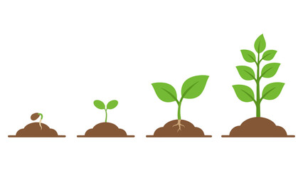 Obraz premium Green plant growth stages showing a seed sprouting into a small sapling in brown soil mounds Vector