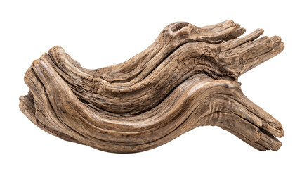 Fototapeta premium Beautifully weathered piece of driftwood featuring smooth flowing lines and deep natural wood grain textures