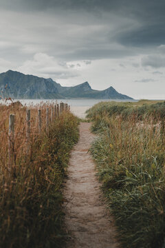 View of a sandy path leading through tall grass and a wooden fence towards Haukland Beach with dramatic mountains under a cloudy sky in Leknes, Nordland, Norway.