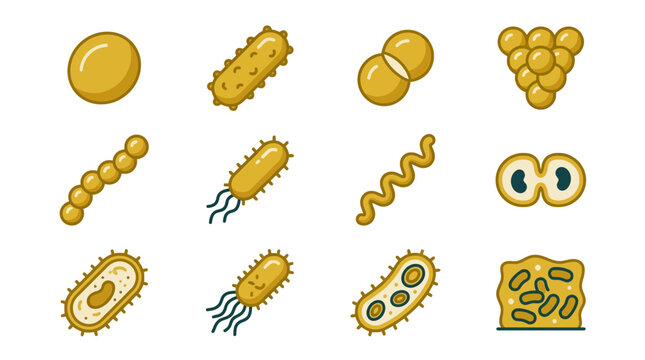 Elegant of Diverse Microbial Bacteria and Microorganism Shapes in Warm Golden Yellow Color with high quality professional line art symbols for modern creative design and digital branding projects