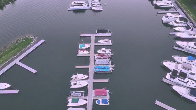 Along the Shores D