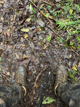 Dirty boots shoes on forest hike