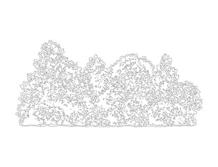 Abstract hedge and shrubbery line art for landscape architectural site plan or garden design elevation featuring textured foliage shapes on transparent background grid. © Vector B