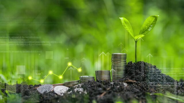 The concept of sustainable investment and business growth; green investment; environmental responsibility; green seedlings growing in the soil; with a green financial graph.