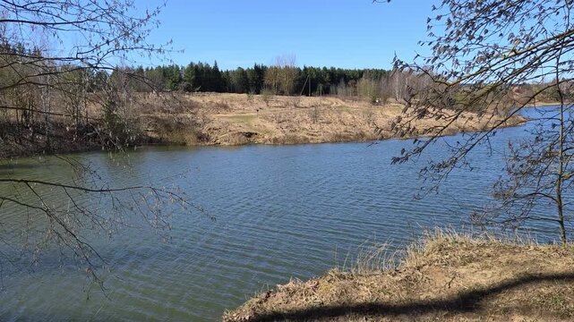 An alder tree grows on the high shore of the lake. On the water on the opposite shore there are asphalted and unpaved roads, a power line, and a forest. Cars are driving. Sunny spring weather