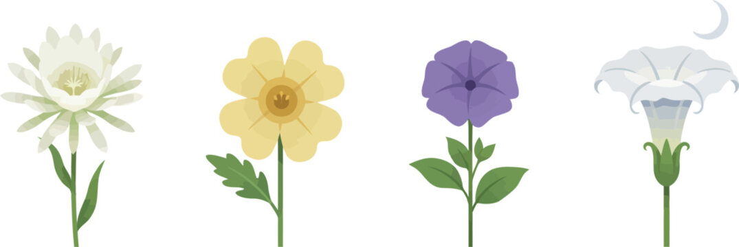 Night blooming flower vector icon set featuring white moonflower evening primrose night phlox and datura botanical plants isolated on white background for designs
