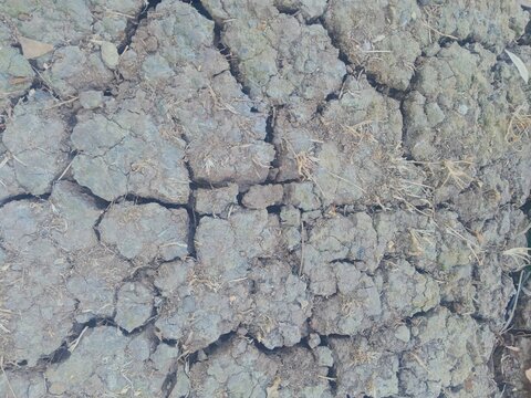 Dry cracked soil ground texture with drought and desert background