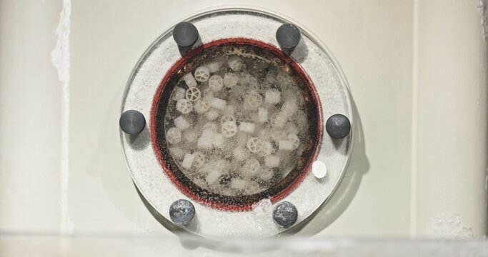 Industrial water filtration system with bio media for cleaning