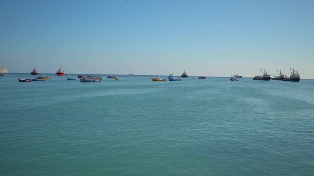 Video mejillones #08