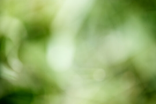 Abstract blurred green nature texture background