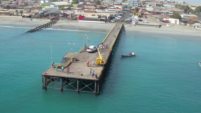 Video mejillones #14