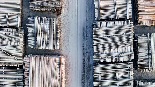 Aerial view of stacked timber logs arranged in neat rows at a lumber yard in Latvia.