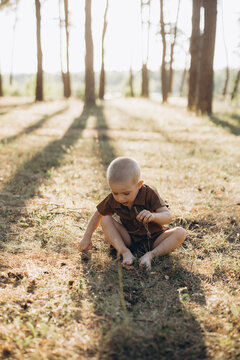 Little boy exploring nature in a pine forest, enjoying summer childhood moments outdoors at golden hour