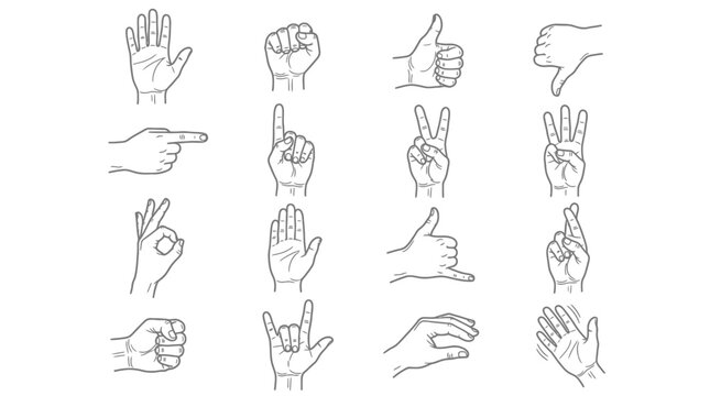 Collection of hands in various poses and gestures set
