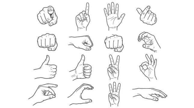 Collection of hands in various poses and gestures set
