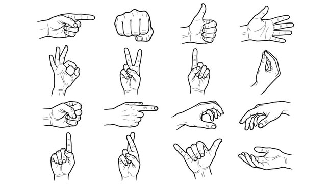 Collection of hands in various poses and gestures set
