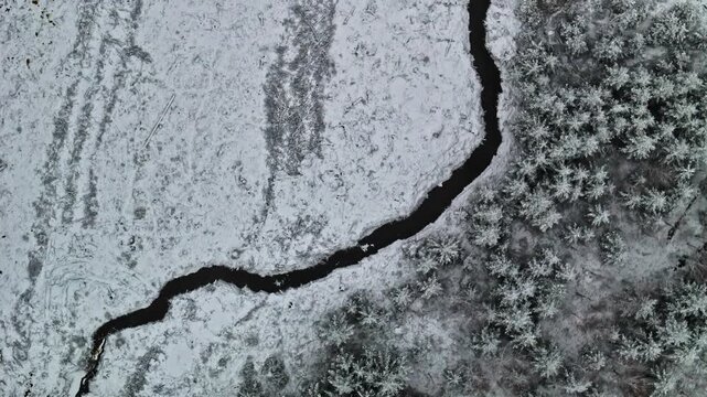 Aerial view of a dark winding river flowing through a snow-covered pine forest in Latvia.