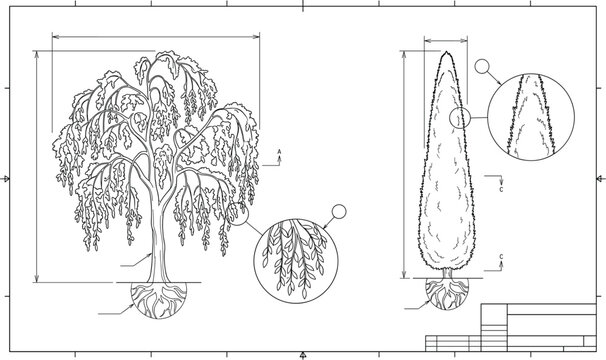 Vintage botanical outline illustration featuring water lilies, cattails, and lush tropical wetland plants.eps,