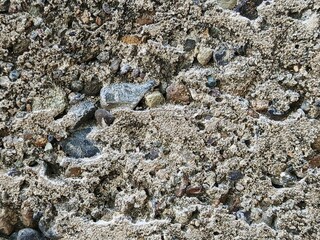 Macro shot of rough concrete aggregate surface with pebbles © feriansyah
