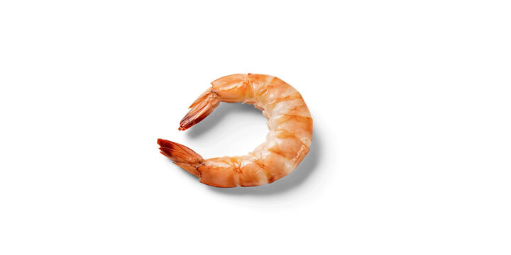 Single cooked peeled shrimp curl with crustacean shellfish delicious appetizer culinary background ingredient nutrition prepared atlantic gastronomy on transparent background