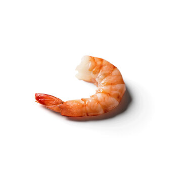 Single cooked peeled king prawn with crustacean shellfish delicious appetizer culinary background ingredient nutrition prepared atlantic gastronomy on transparent background