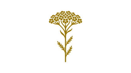 Yellow yarrow flower bunch botanical vector design. © Sesko