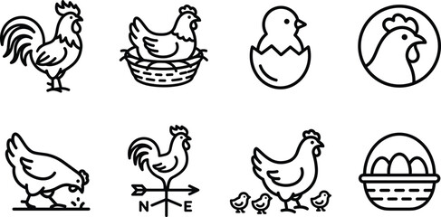 Fototapeta premium Poultry Farm and Domestic Chicken Line Icon Set for Organic Egg Packaging, Agriculture Blogs, and Fresh Food Branding